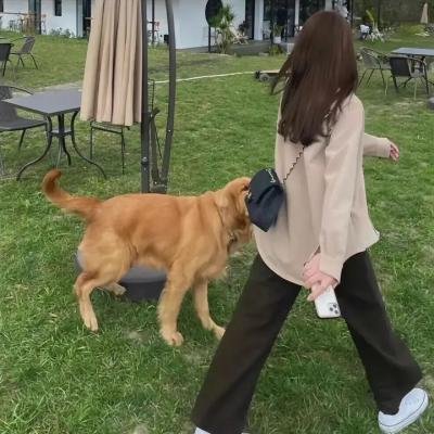 小小心愿